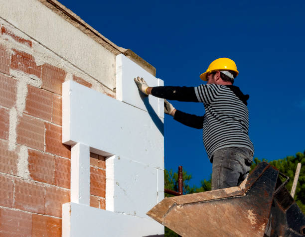 Best Cellulose Insulation  in Trinity, TX