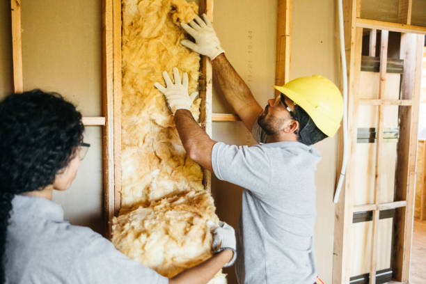 Best Insulation for New Construction  in Trinity, TX