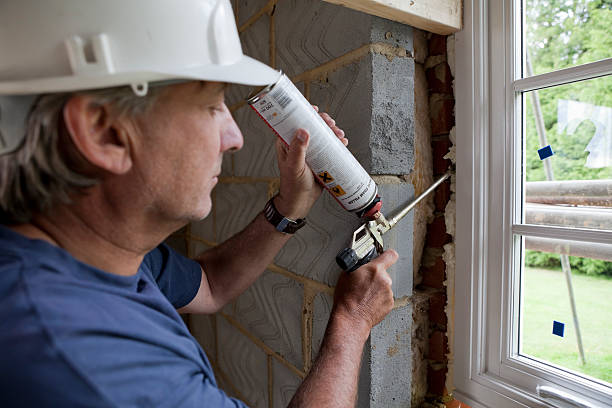 Best Spray Foam Insulation  in Trinity, TX