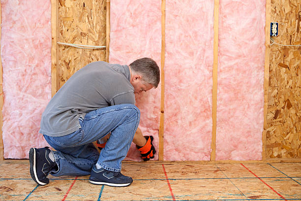 Insulation Repair Services in Trinity, TX
